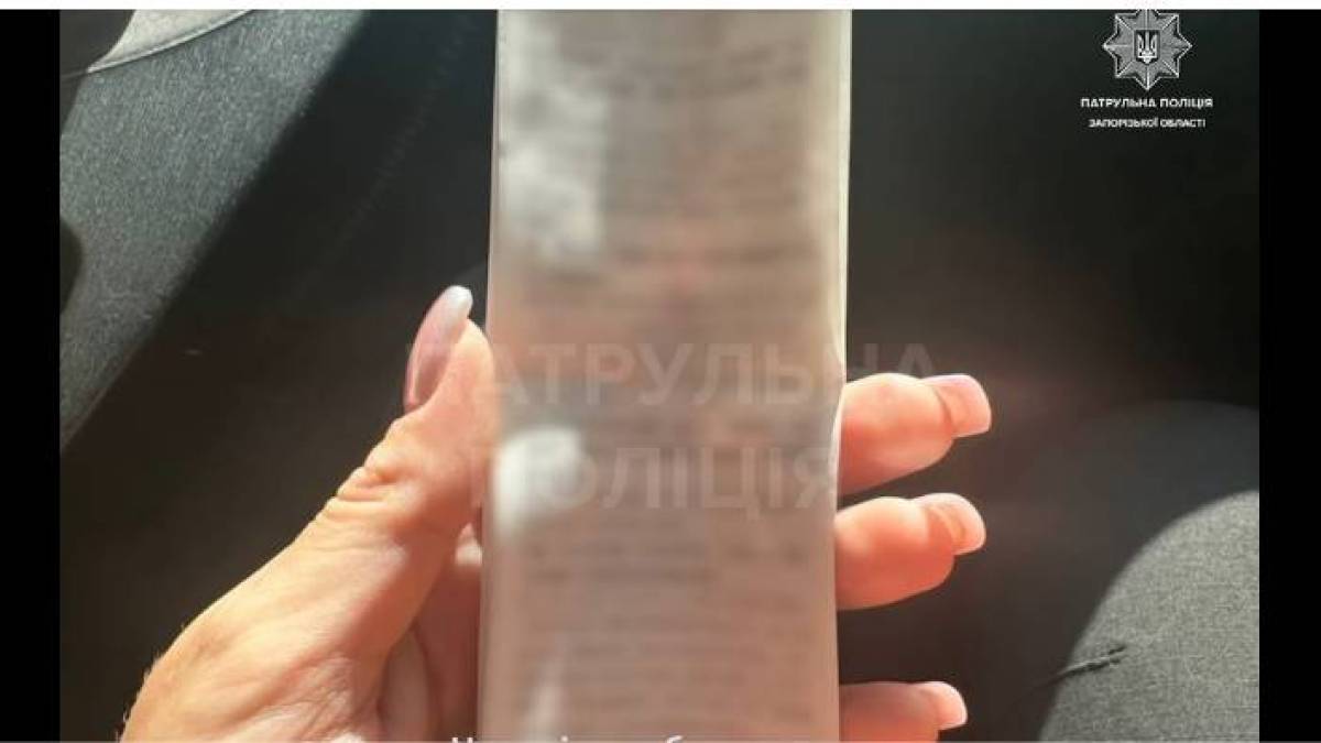 У Запоріжжі водійку оштрафували за неповагу до загиблих (відео)
