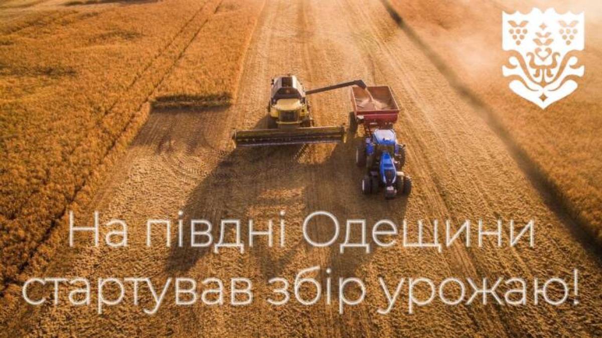 На Півдні стартували жнива — аграрії збирають озимі ячмінь та горох