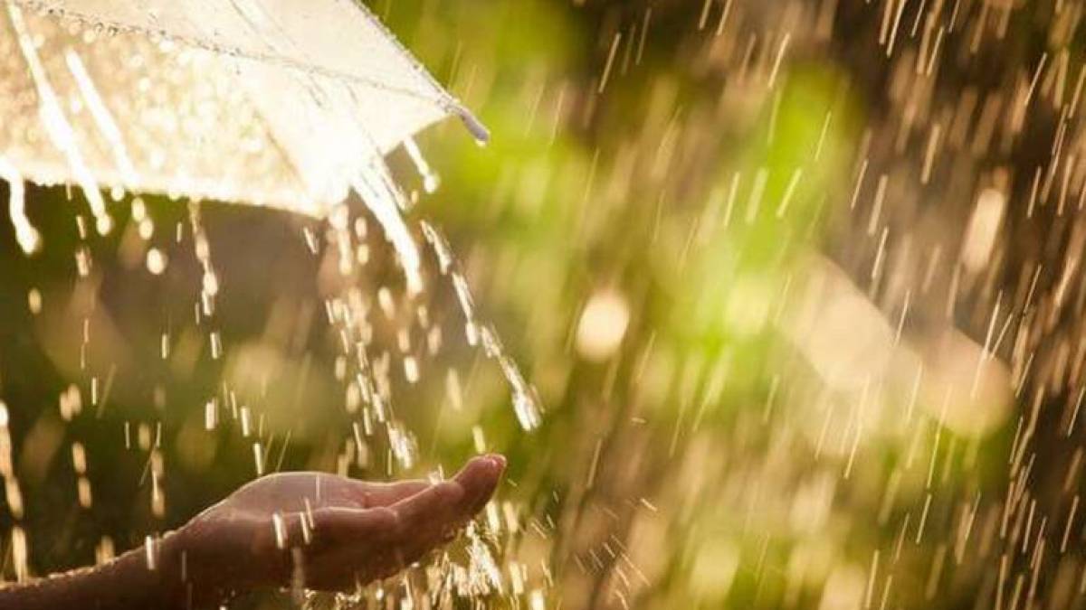 Якою буде погода на вихідні у Запоріжжі та області: прогноз синоптиків