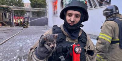 У Запоріжжі рятувальники дістали кошеня з палаючої будівлі, пошкодженої внаслідок ранкового обстрілу