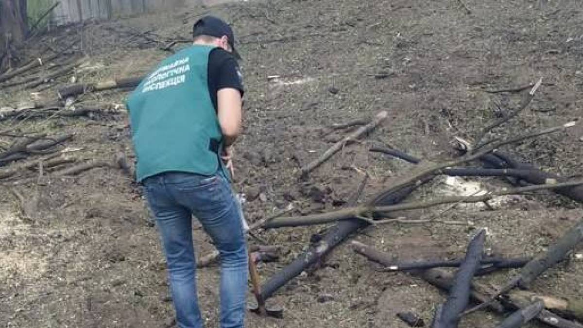 Екологи фіксують наслідки обстрілів Запоріжжя