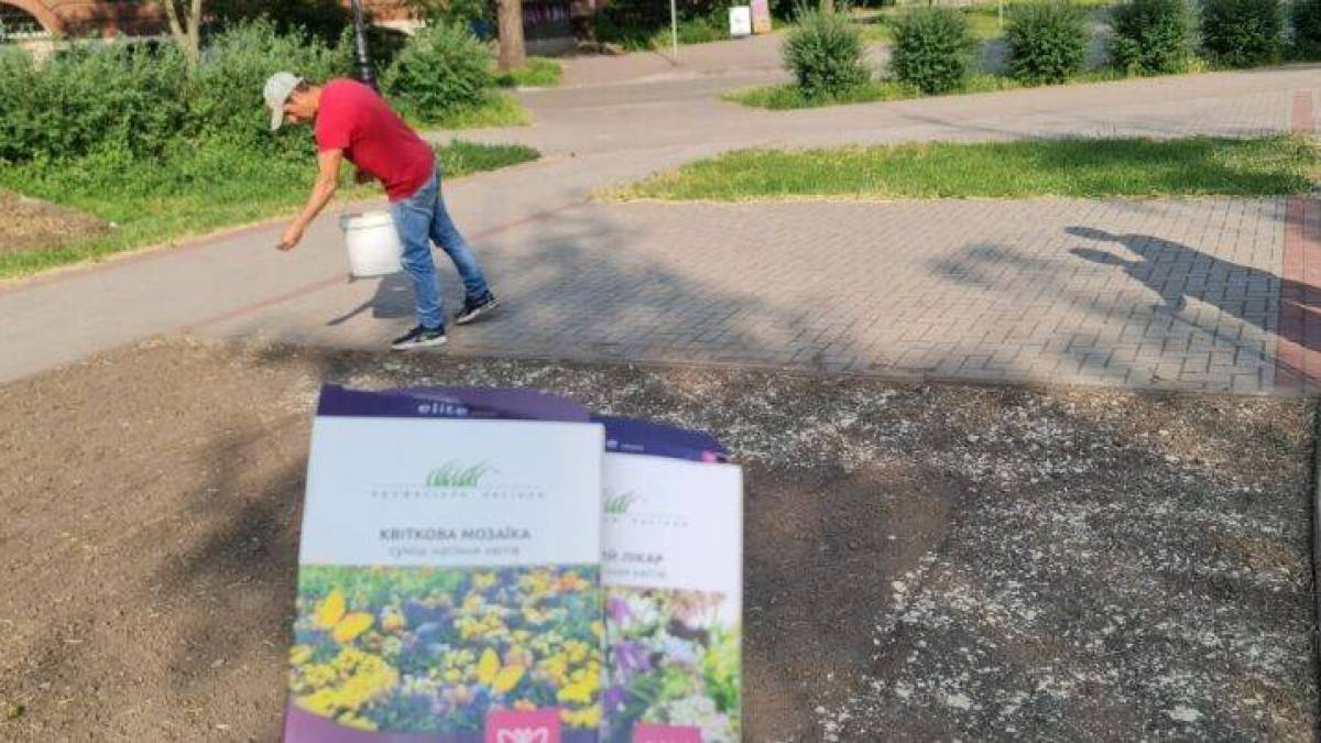 Для чого Запоріжжю  експериментальні “клумби різнотрав’я”
