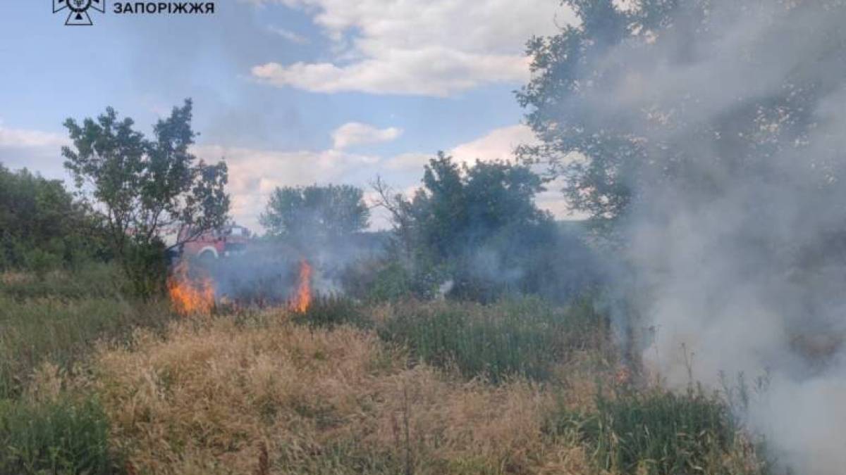 П’ять пожеж в екосистемах області виникли минулої доби