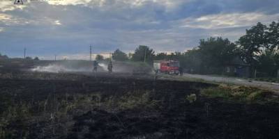 15 пожеж в екосистемах нашої області виникли минулої доби