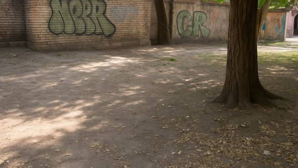 У Запоріжжі ліквідовано одразу декілька стихійних звалищ