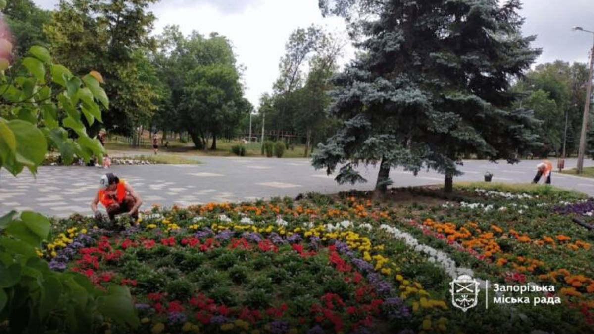 Запорізька “Дубовка” зустрічає відвідувачів барвистими клумбами