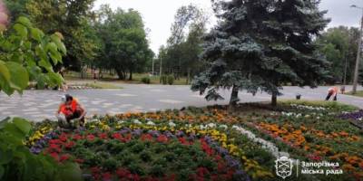 Запорізька “Дубовка” зустрічає відвідувачів барвистими клумбами