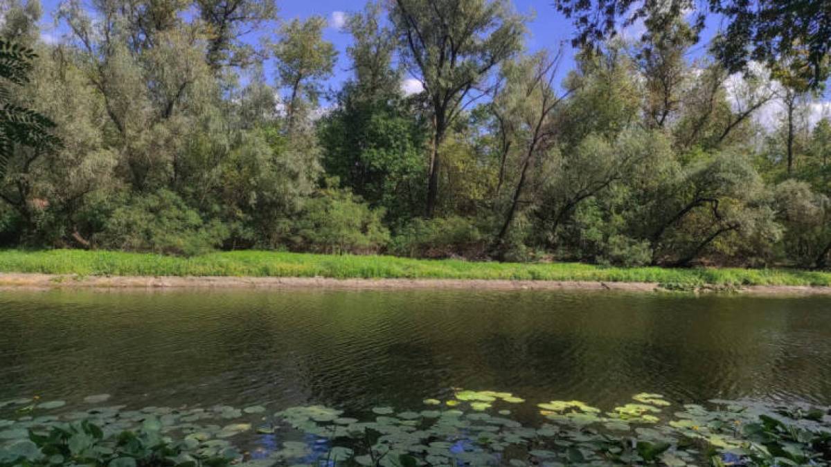 У селі на Запоріжжі заборонили виходити на берег Каховського водосховища