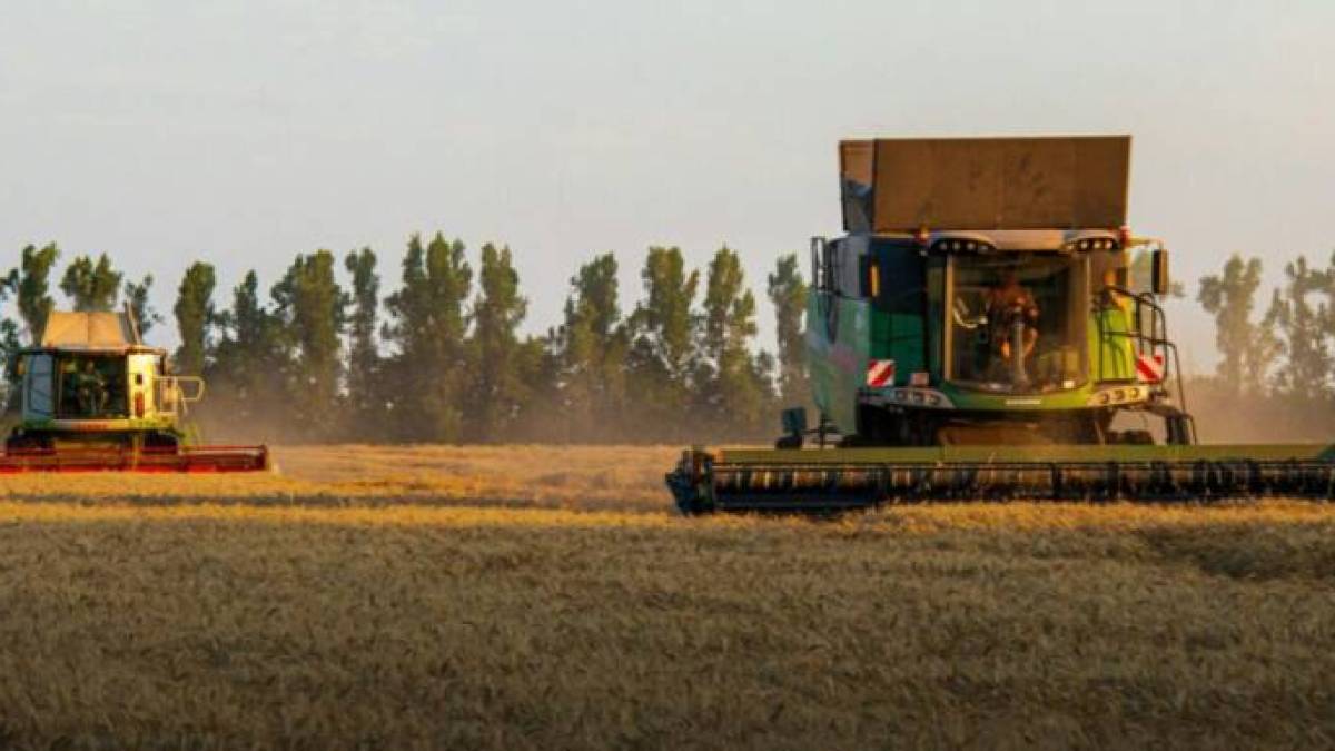 Жнива-2025. Українські аграрії наближаються до збору першого мільйона тонн зерна нового врожаю