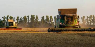 Жнива-2025. Українські аграрії наближаються до збору першого мільйона тонн зерна нового врожаю