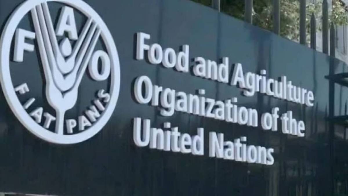 Світ визнав роль України в аграрному ринку: її обрали до Ради FAO