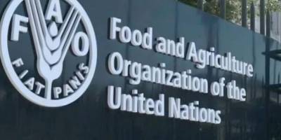 Світ визнав роль України в аграрному ринку: її обрали до Ради FAO