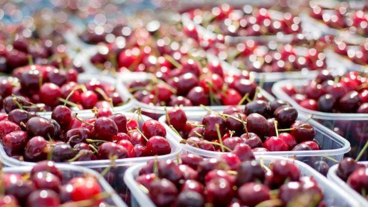 Чому цього року ранні овочі та ягоди на Запоріжжі такі недешеві