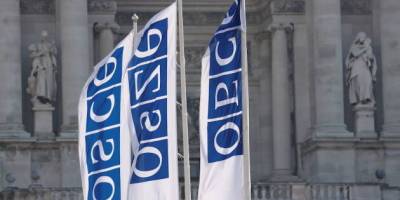 Парламентська Асамблея ОБСЄ обрала нове керівництво і прийняла Португальську декларацію