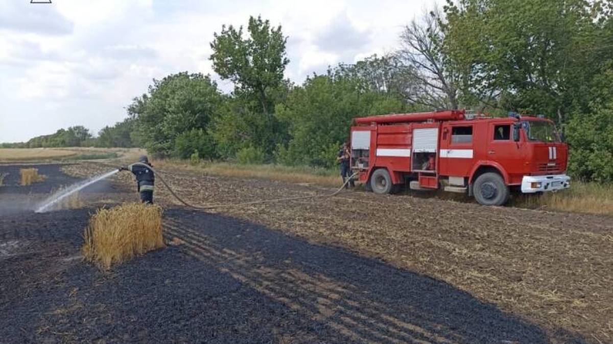 За минулу добу на території області рятувальники ліквідували 15 пожеж в екосистемах