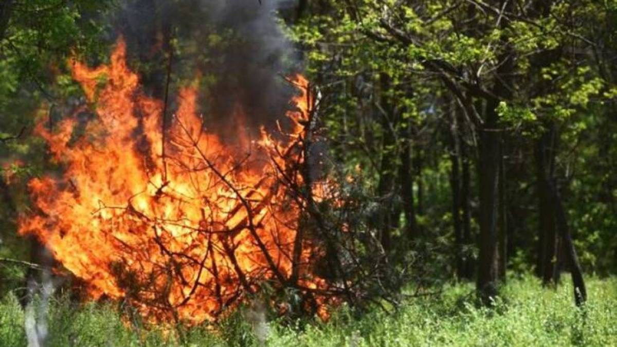 На Запоріжжі оголошено “жовтий” рівень небезпеки