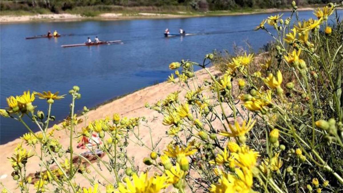 Якою буде погода на вихідні у Запоріжжі та області: прогноз синоптиків