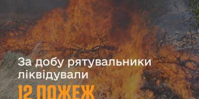 12 пожеж в екосистемах нашої області виникли минулої доби