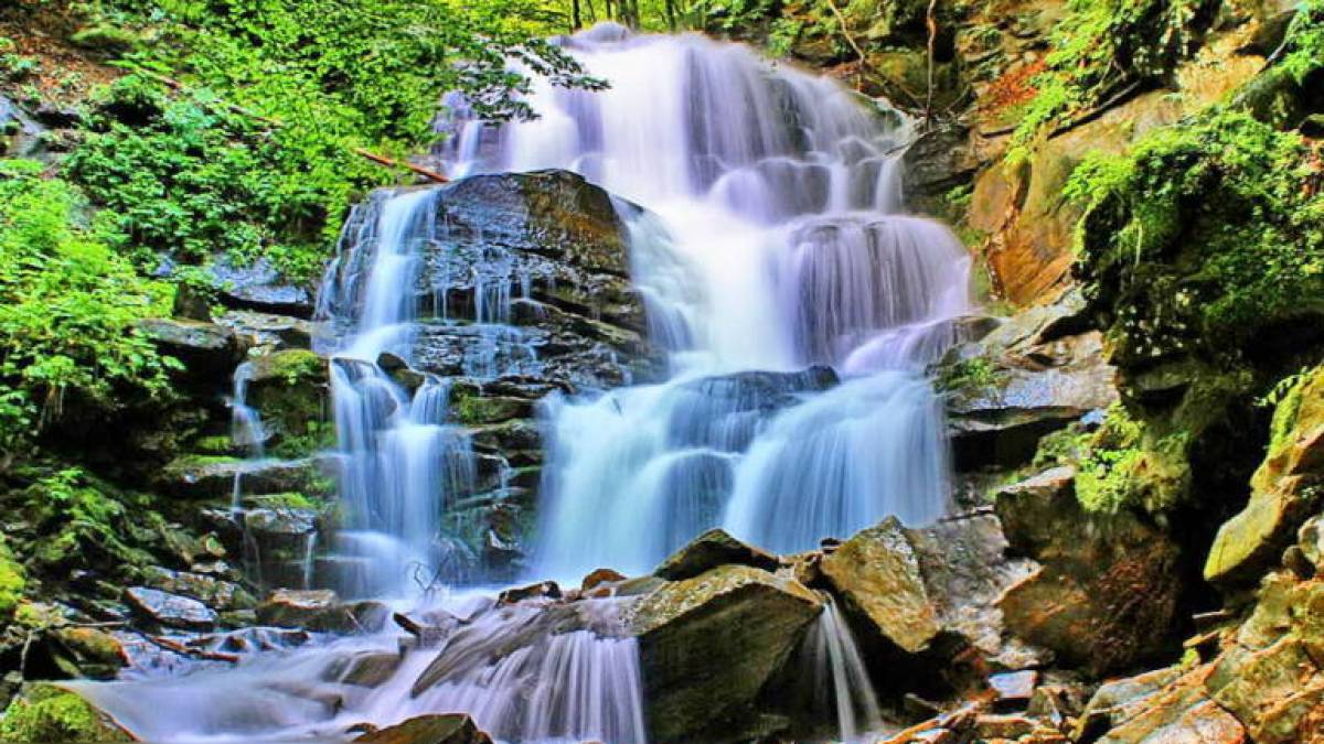 На Закарпатті біля водоспаду Шипіт отруїлося 38 осіб, більшість ‒ учасники фестивалю