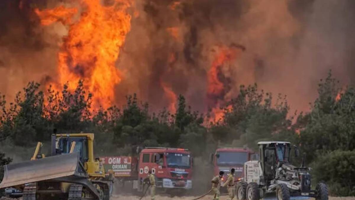 У Туреччині через лісові пожежі евакуюють села та закрили шосе