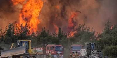 У Туреччині через лісові пожежі евакуюють села та закрили шосе
