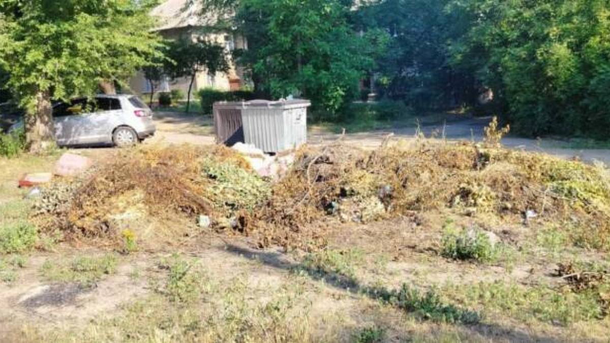 Чергові сміттєзвалища влаштували в Дніпровському районі Запоріжжя