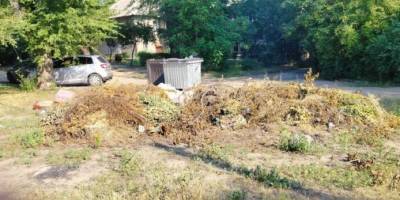 Чергові сміттєзвалища влаштували в Дніпровському районі Запоріжжя
