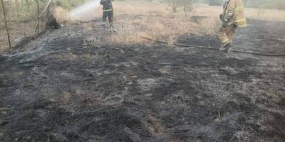 За минулу добу на території області рятувальники ліквідували 12 пожеж в екосистемах