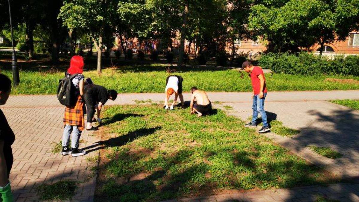 Проєкт різнотрав’я в Запоріжжі – це не лише естетика…