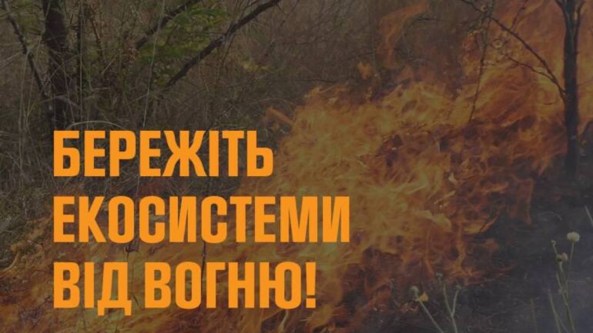 За минулу добу на території області рятувальники ліквідували 10 пожеж в екосистемах