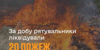 За минулу добу на території області рятувальники ліквідували 20 пожеж в екосистемах