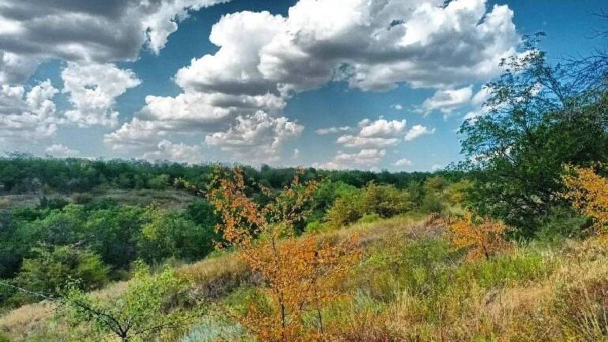Якою буде погода в Запоріжжі в перші три дні тижня – прогноз синоптиків