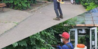 Ботанічний сад вживає превентивних заходів для захисту рослин від сарани