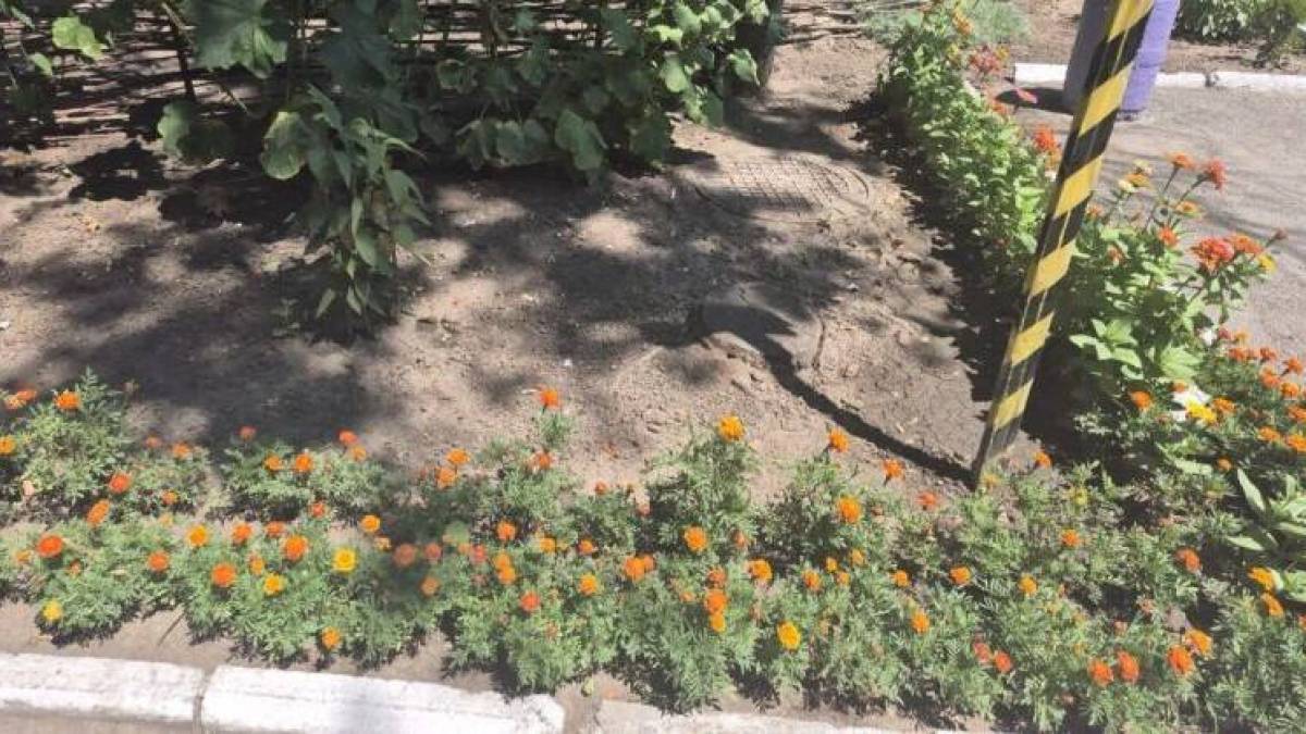 Як запорізькі освітяни втілюють на практиці зелене відновлення міста