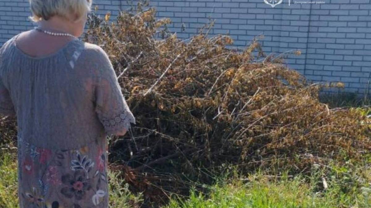 Мешканці Запоріжжя отримують попередження за нескошену траву