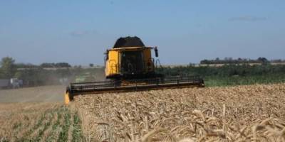 Жнива-2025. В Україні зібрали вже понад 10 мільйонів тонн зерна нового врожаю