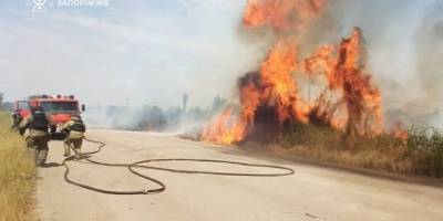 За минулу добу на території області рятувальники ліквідували 21 пожежу в екосистемах