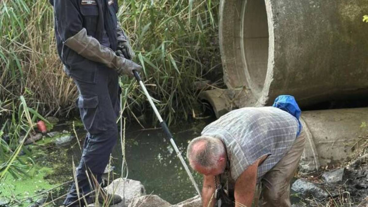 Собаку з переломами врятували з бетонної пастки у Запоріжжі