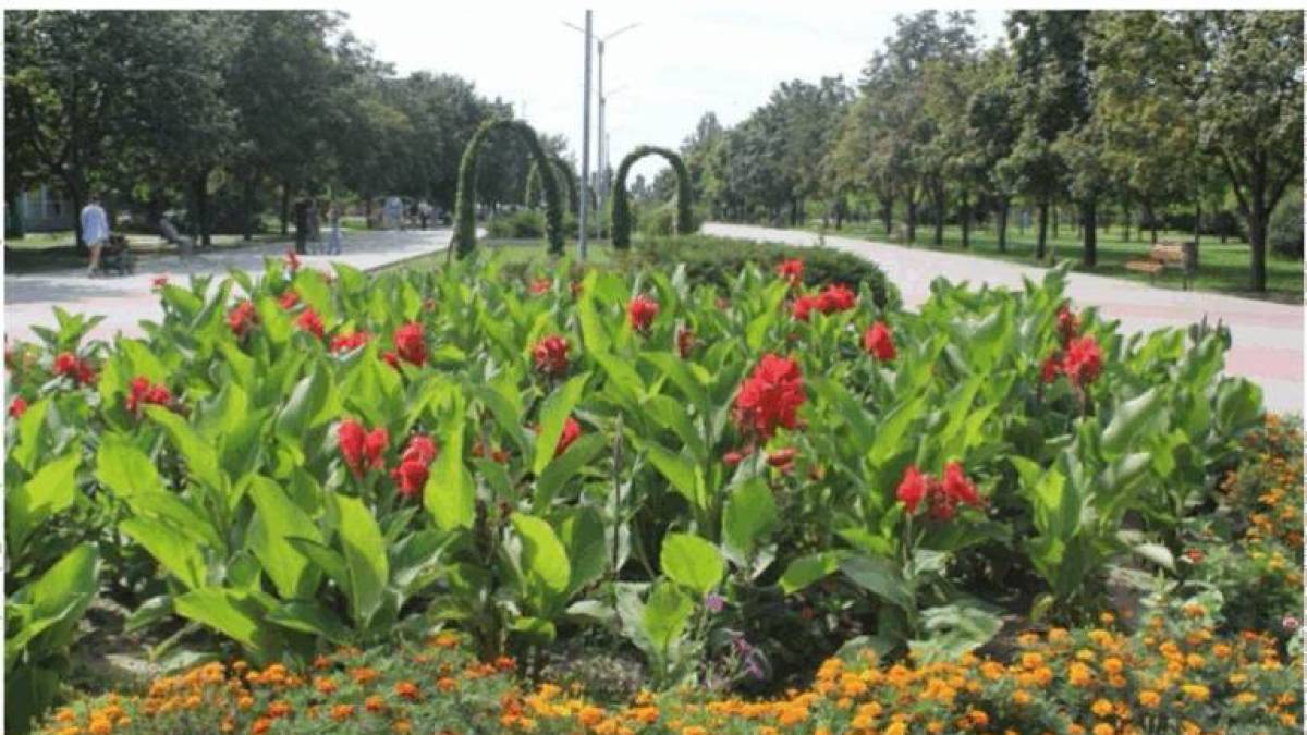 Жителі Запоріжжя обрали нову назву Комунарського району