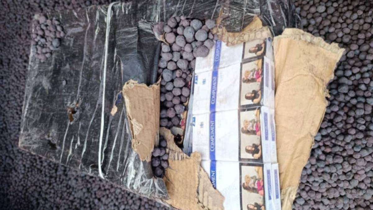 10 тисяч пачок сигарет відкопали митники  у вагоні з залізною рудою