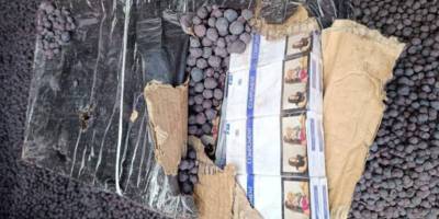 10 тисяч пачок сигарет відкопали митники  у вагоні з залізною рудою
