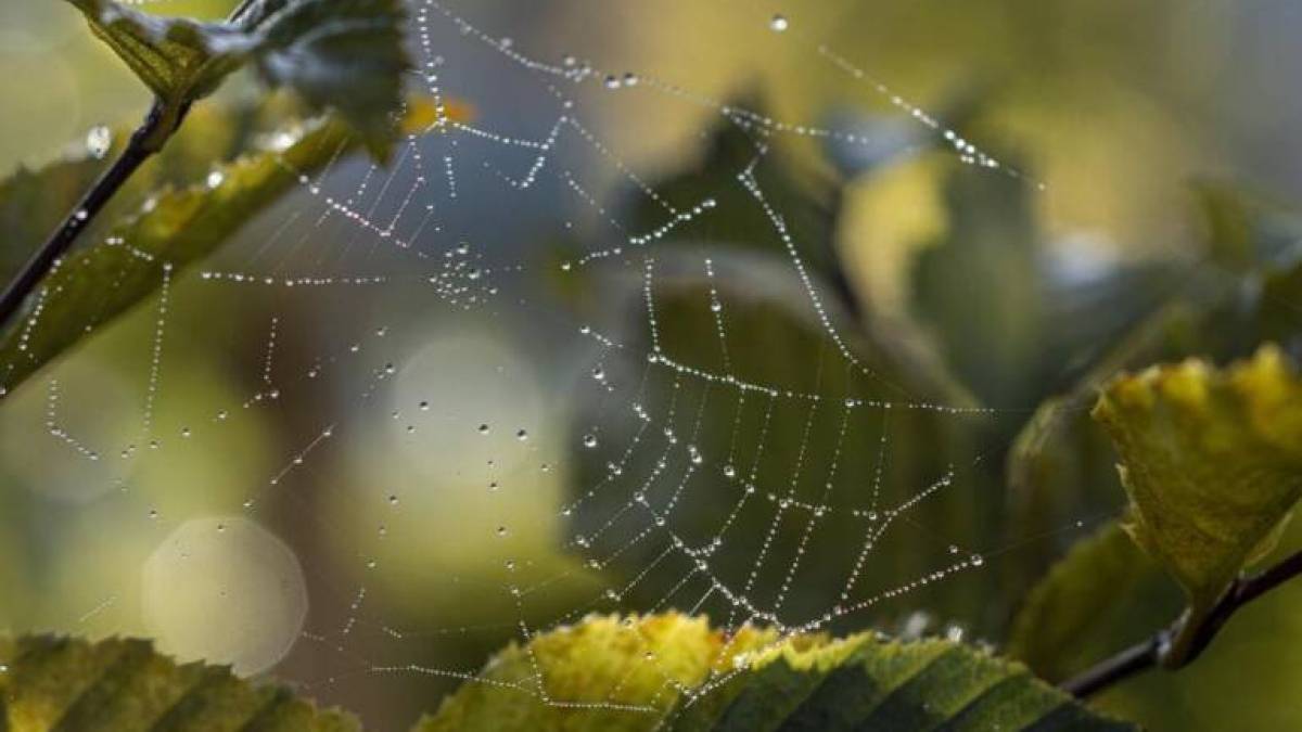 Синоптики оновили прогноз на вівторок, 5 серпня