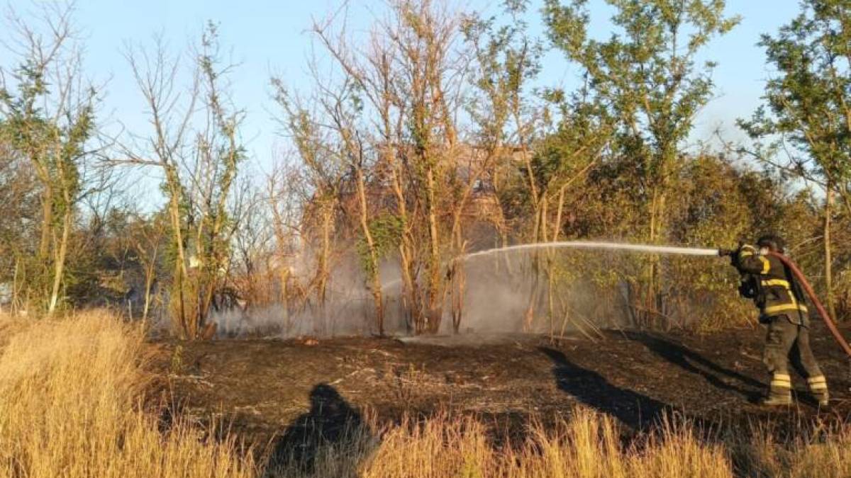 У громаді під Запоріжжям виникла масштабна пожежа