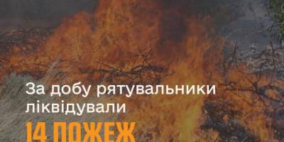 За минулу добу на території області рятувальники ліквідували 14 пожеж в екосистемах