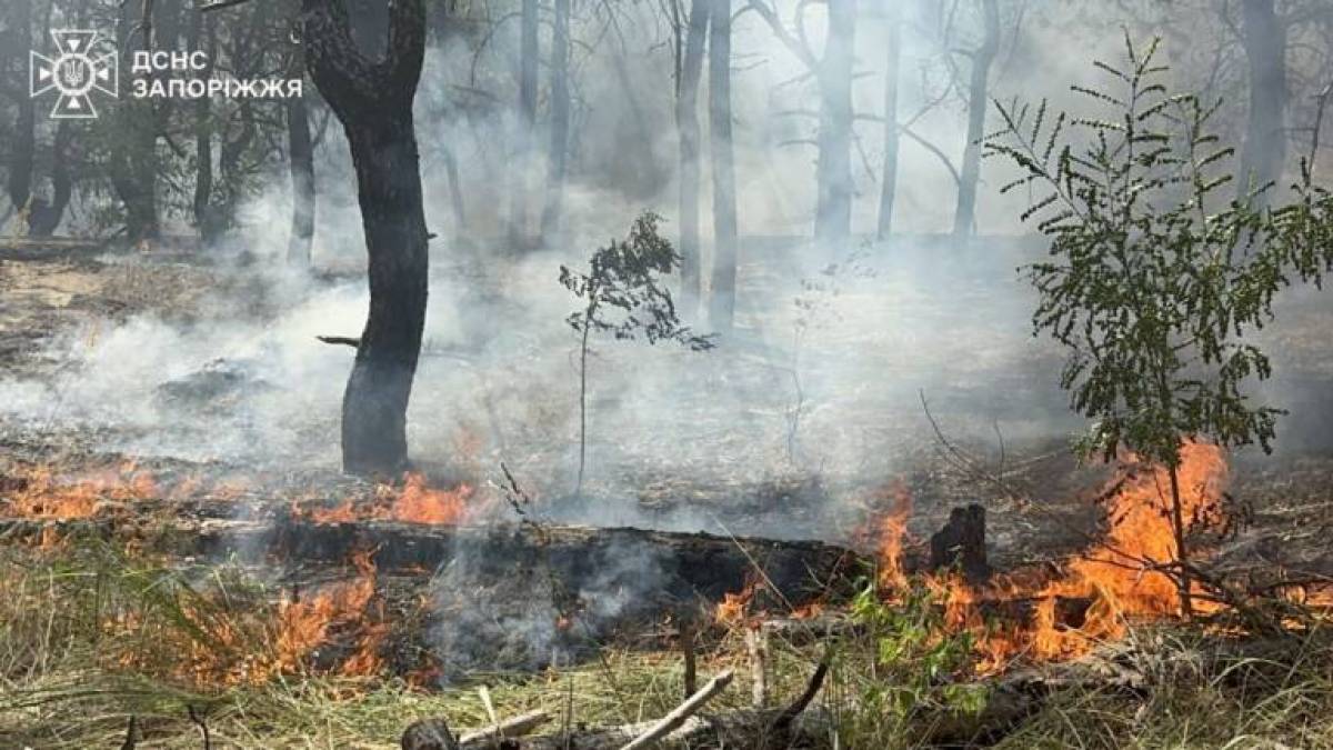 18 пожеж в екосистемах за добу