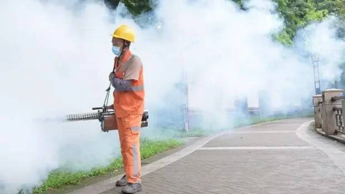 У Китаї вже зареєстровано понад 7000 випадків зараження вірусом чикунгунья
