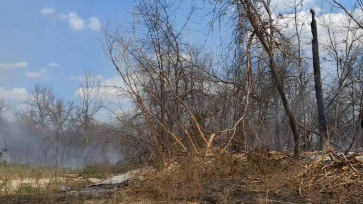 На острові Хортиця знову спалахнула пожежа