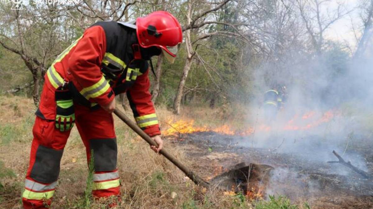 За минулу добу на території області рятувальники ліквідували 15 пожеж в екосистемах