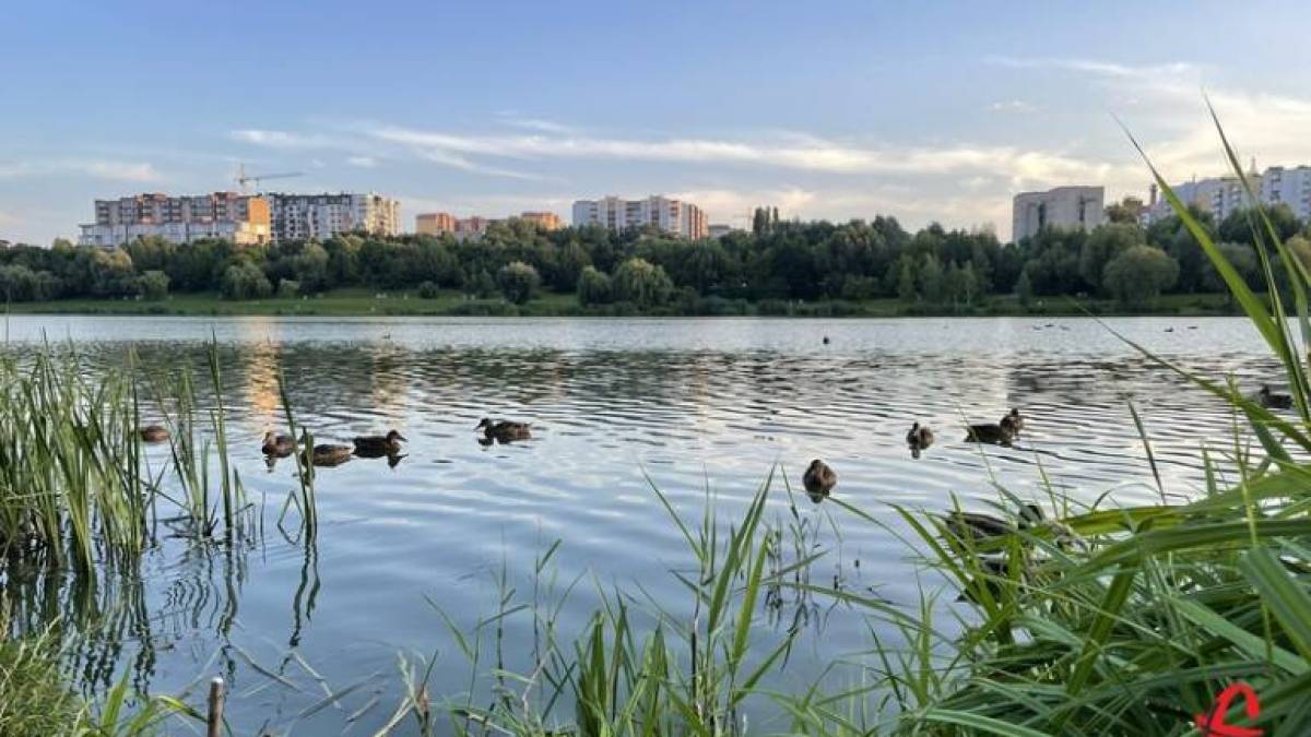 В Україні на середу опадів не обіцяють, вдень до +28°