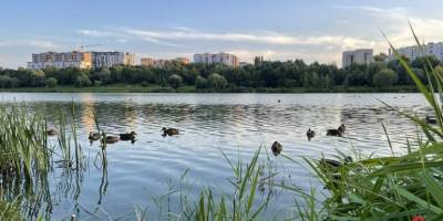 В Україні на середу опадів не обіцяють, вдень до +28°